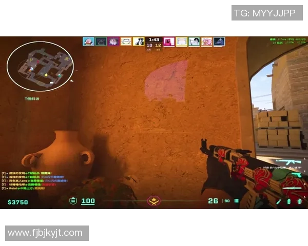 WE战术争议引发热议CSGO战队未来发展面临挑战与机遇