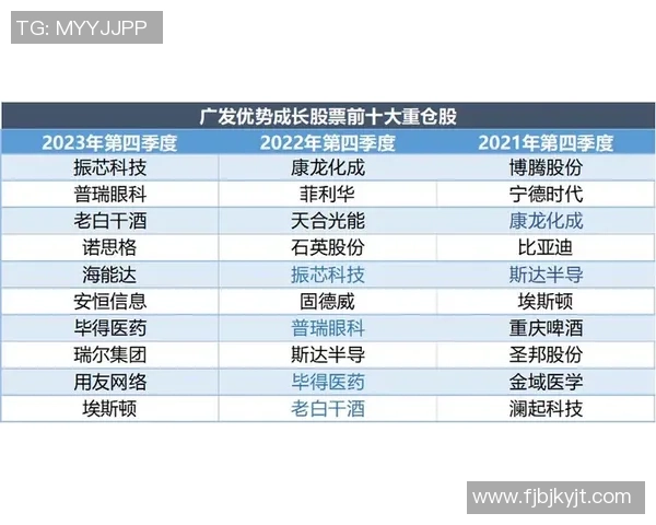 南京排球队的实力分析与发展潜力探讨